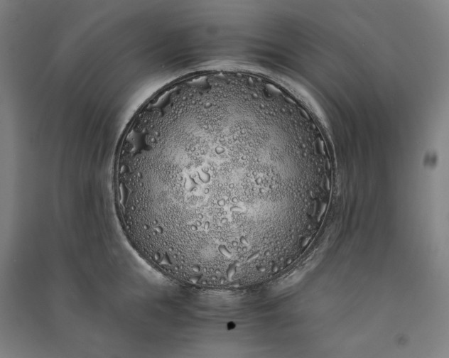 X0000091100855200708201518