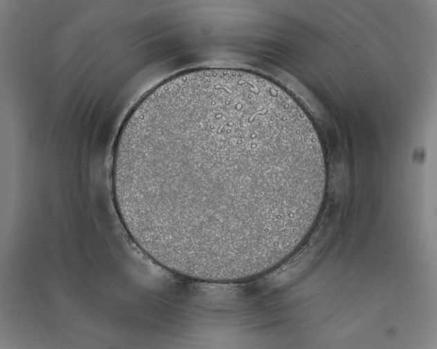 X0000091100856200708201518