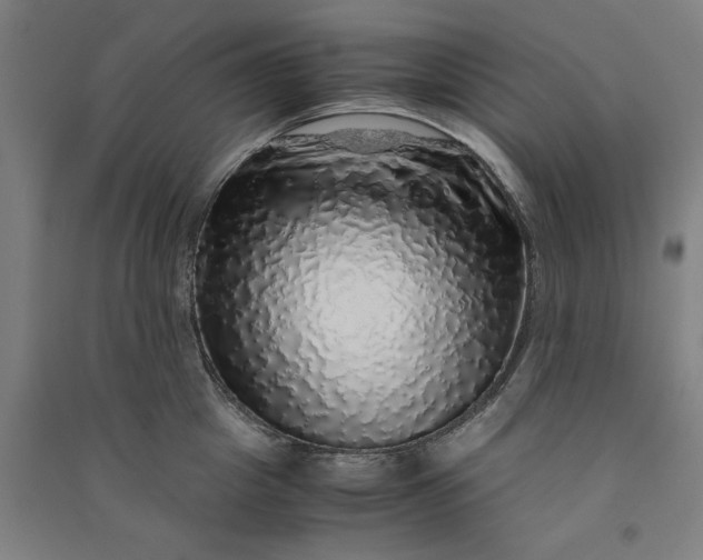 X0000091100857200708201518