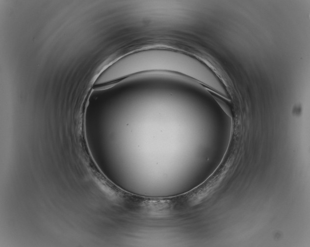 X0000091100858200708201519