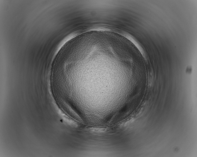 X0000091100861200708201519