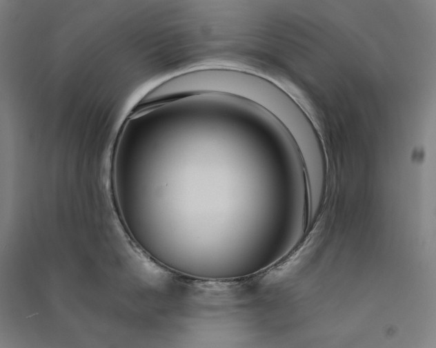 X0000091100862200708201519