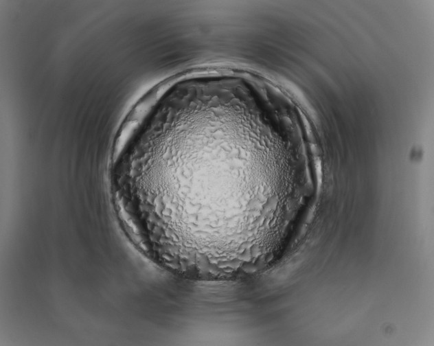 X0000091100863200708201519