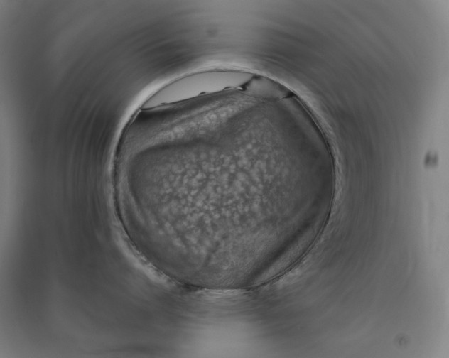 X0000091100864200708201519