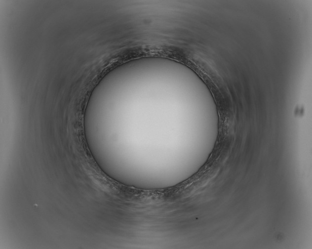 X0000091100865200708201518