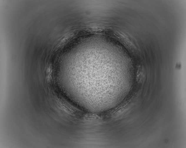 X0000091100866200708201518