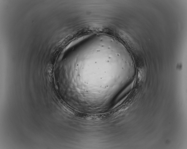 X0000091100867200708201518