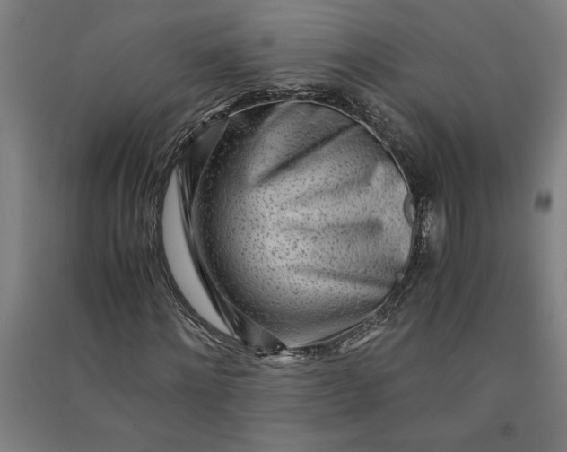 X0000091100868200708201518