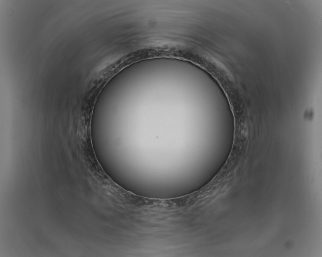 X0000091100869200708201518