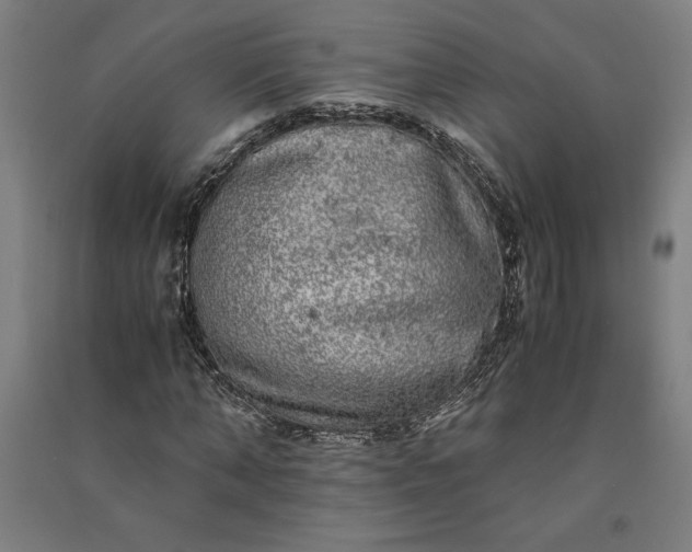 X0000091100870200708201518