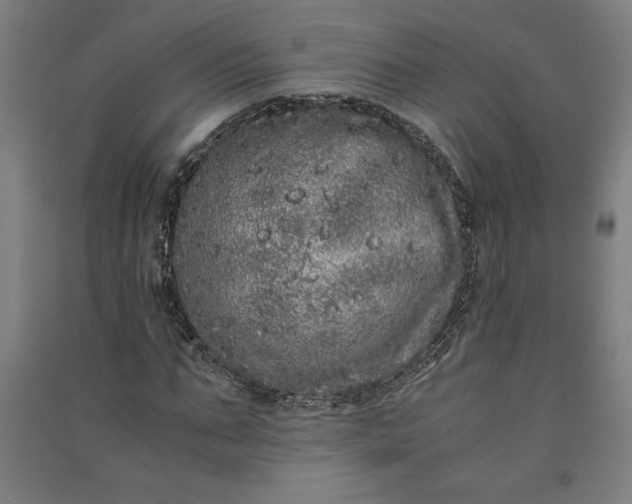 X0000091100871200708201518