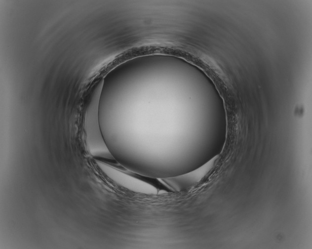 X0000091100872200708201518