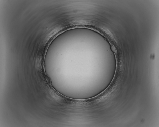 X0000091100873200708201518