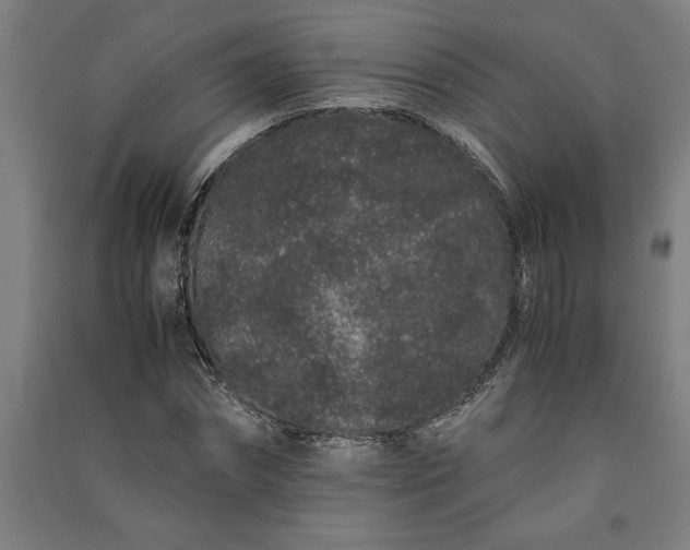 X0000091100874200708201518