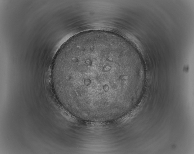 X0000091100875200708201518