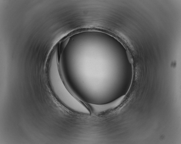 X0000091100876200708201518