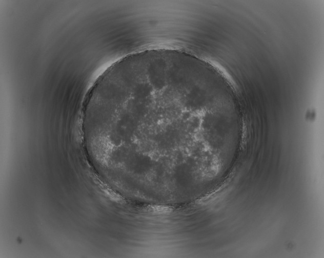 X0000091100878200708201518