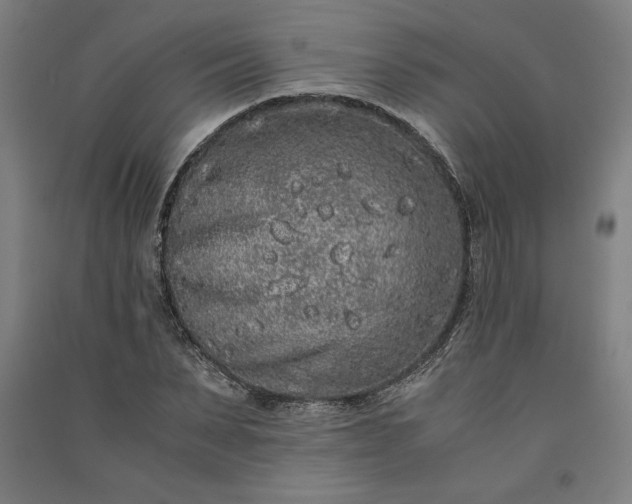 X0000091100879200708201518