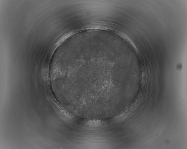 X0000091100882200708201518