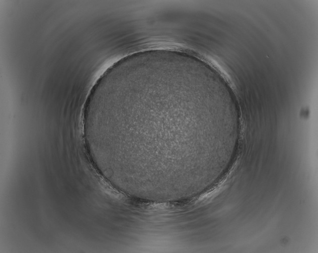 X0000091100883200708201518