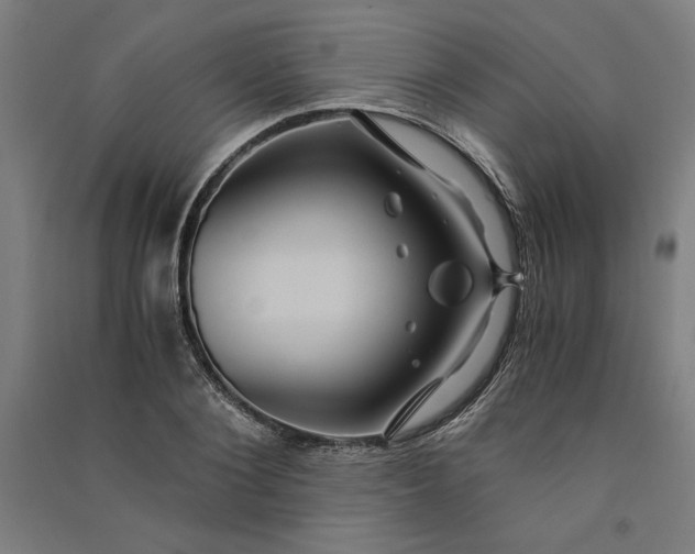 X0000091100884200708201517