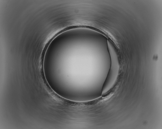 X0000091100885200708201517