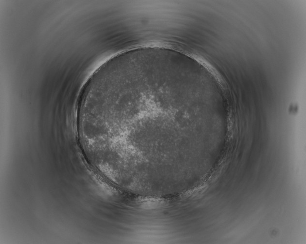 X0000091100886200708201517