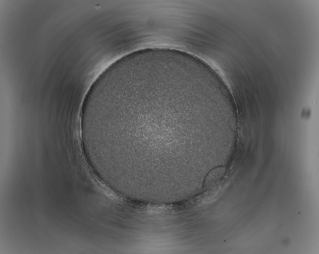 X0000091100887200708201517