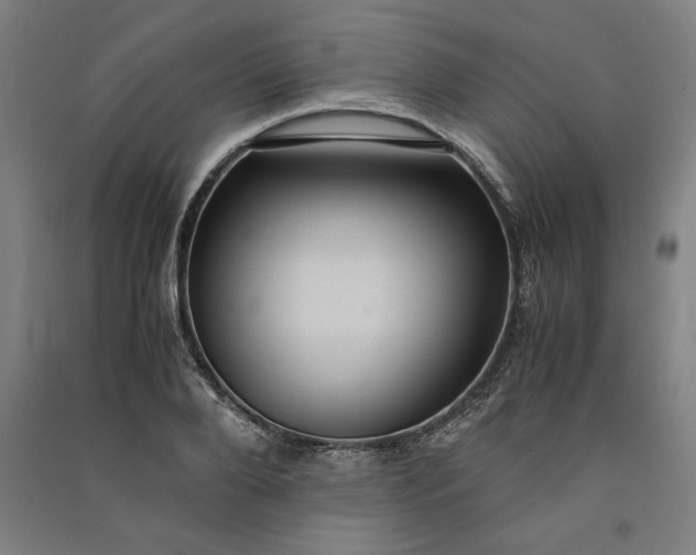 X0000091100888200708201517