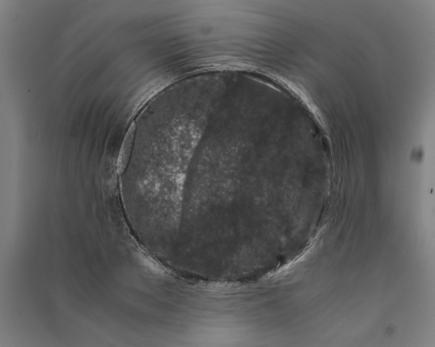 X0000091100889200708201517