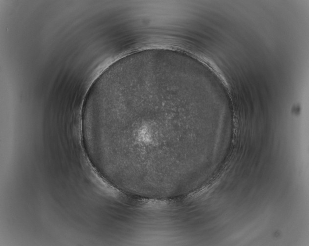 X0000091100890200708201517