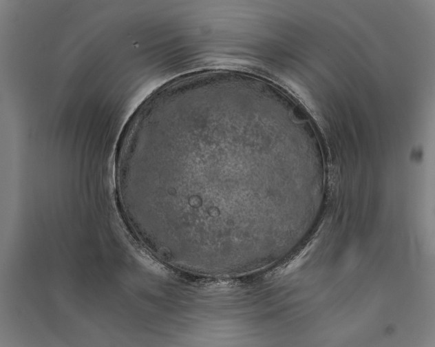 X0000091100891200708201517