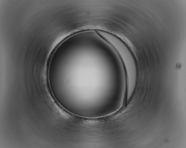 X0000091100894200708201517