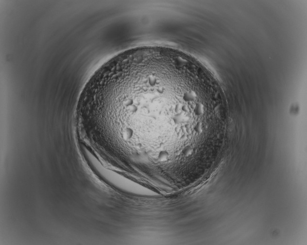 X0000091100895200708201517