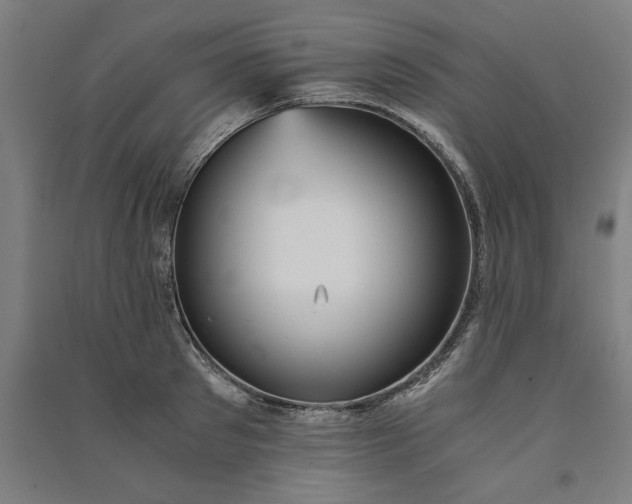 X0000091100897200708201517