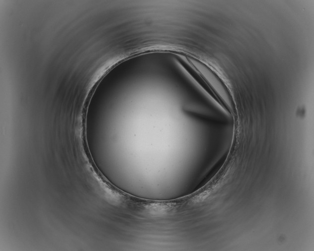 X0000091100898200708201517