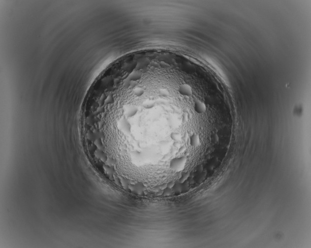 X0000091100899200708201517