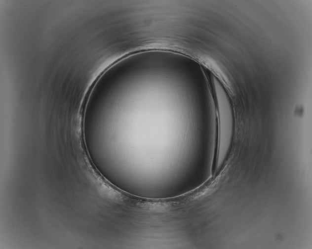 X0000091100900200708201517