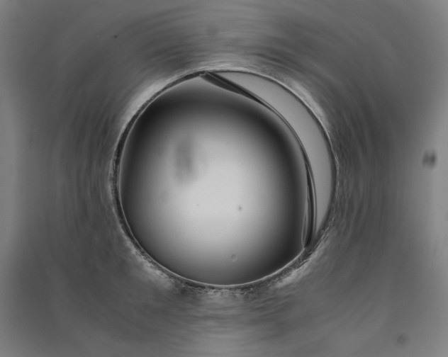 X0000091100901200708201517