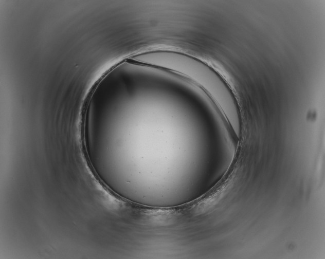 X0000091100902200708201517