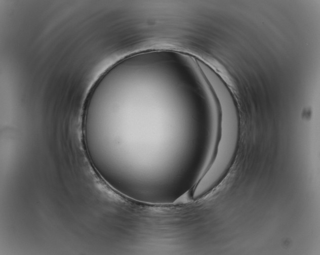 X0000091100904200708201517