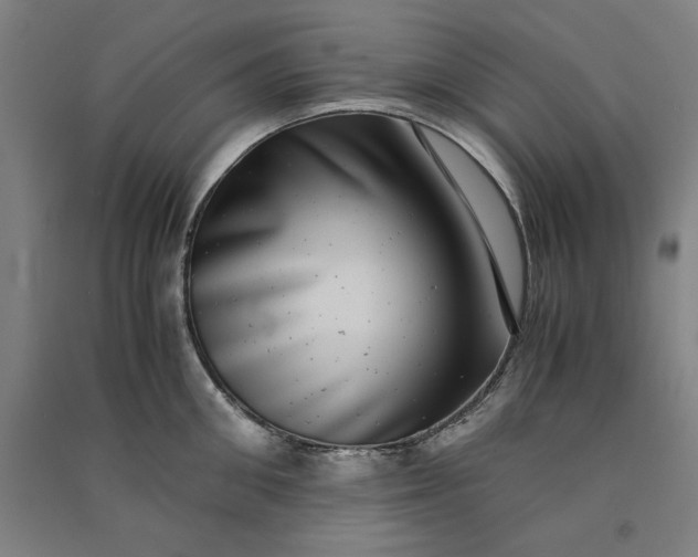 X0000091100906200708201517