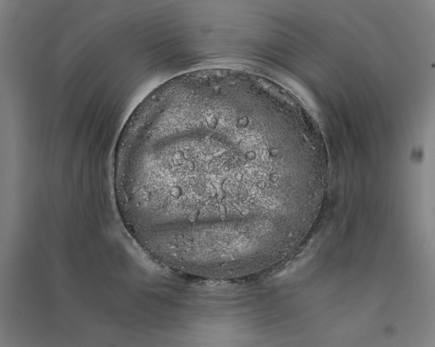 X0000091100907200708201517