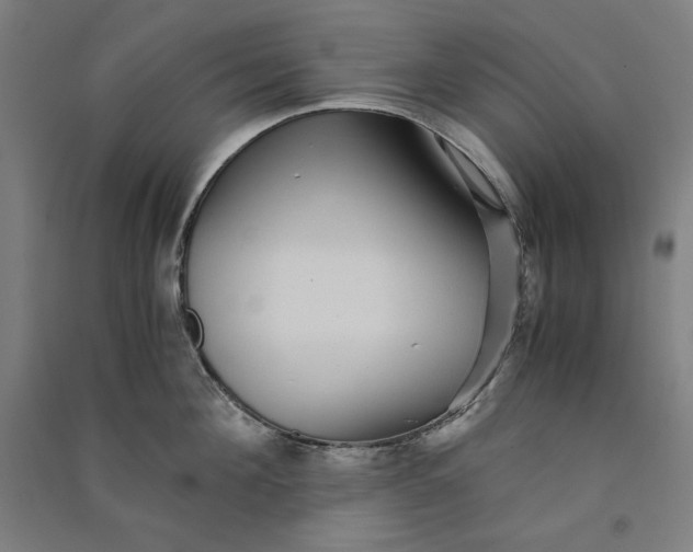 X0000091100908200708201517