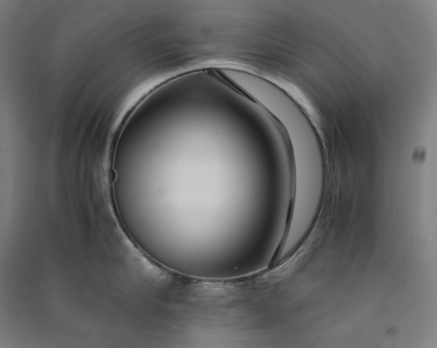 X0000091100910200708201517