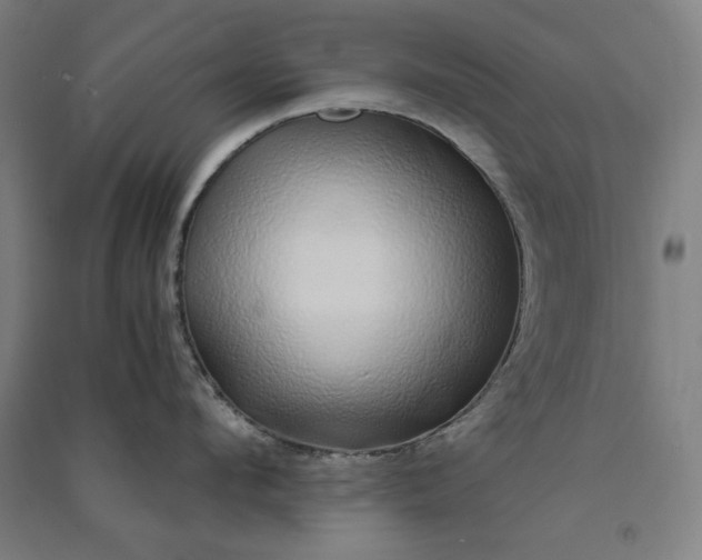 X0000091100912200708201517