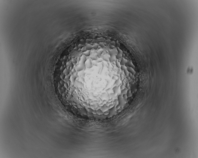 X0000091100913200708201516