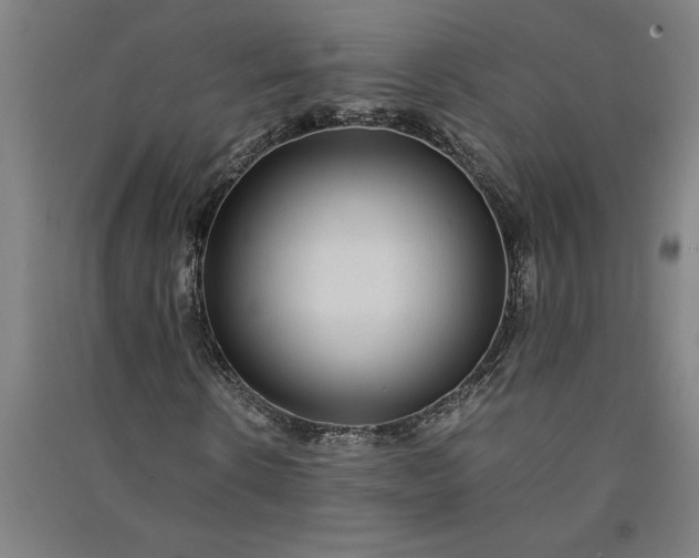 X0000091100914200708201516