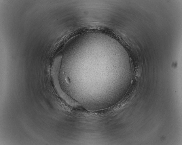 X0000091100916200708201516