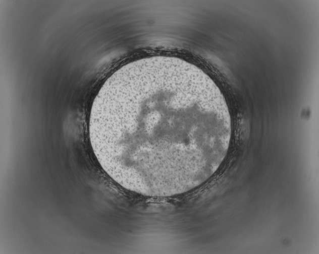 X0000091100918200708201516